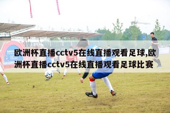 欧洲杯直播cctv5在线直播观看足球,欧洲杯直播cctv5在线直播观看足球比赛