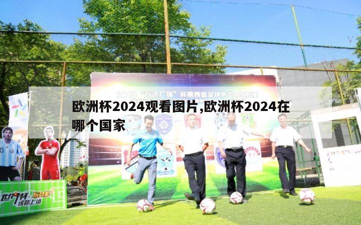 欧洲杯2024观看图片,欧洲杯2024在哪个国家