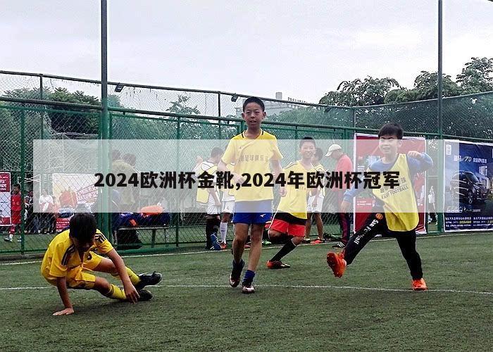 2024欧洲杯金靴,2024年欧洲杯冠军