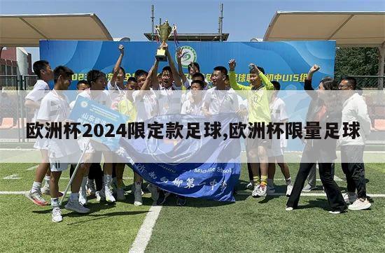 欧洲杯2024限定款足球,欧洲杯限量足球