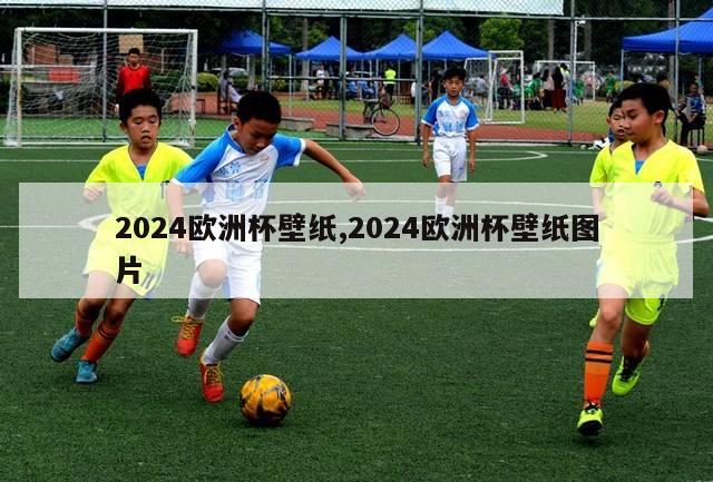 2024欧洲杯壁纸,2024欧洲杯壁纸图片